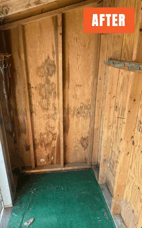 The same shed emptied out